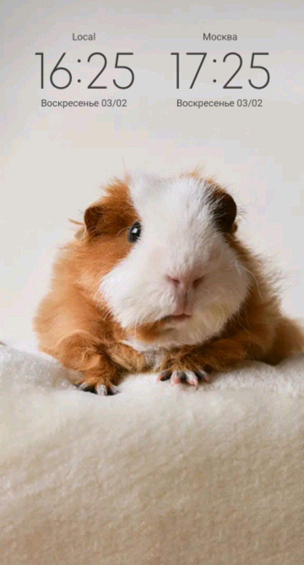 хз как назвать эту трансляцию смотреть онлайн