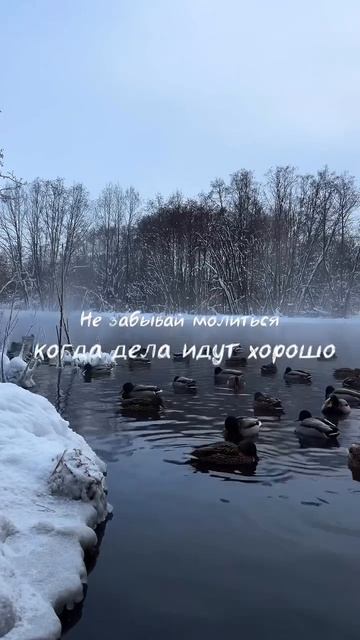 Религия смотреть онлайн
