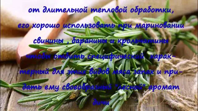 Розмарин смотреть онлайн