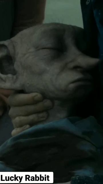 😥 Жалко их#harrypotter смотреть онлайн