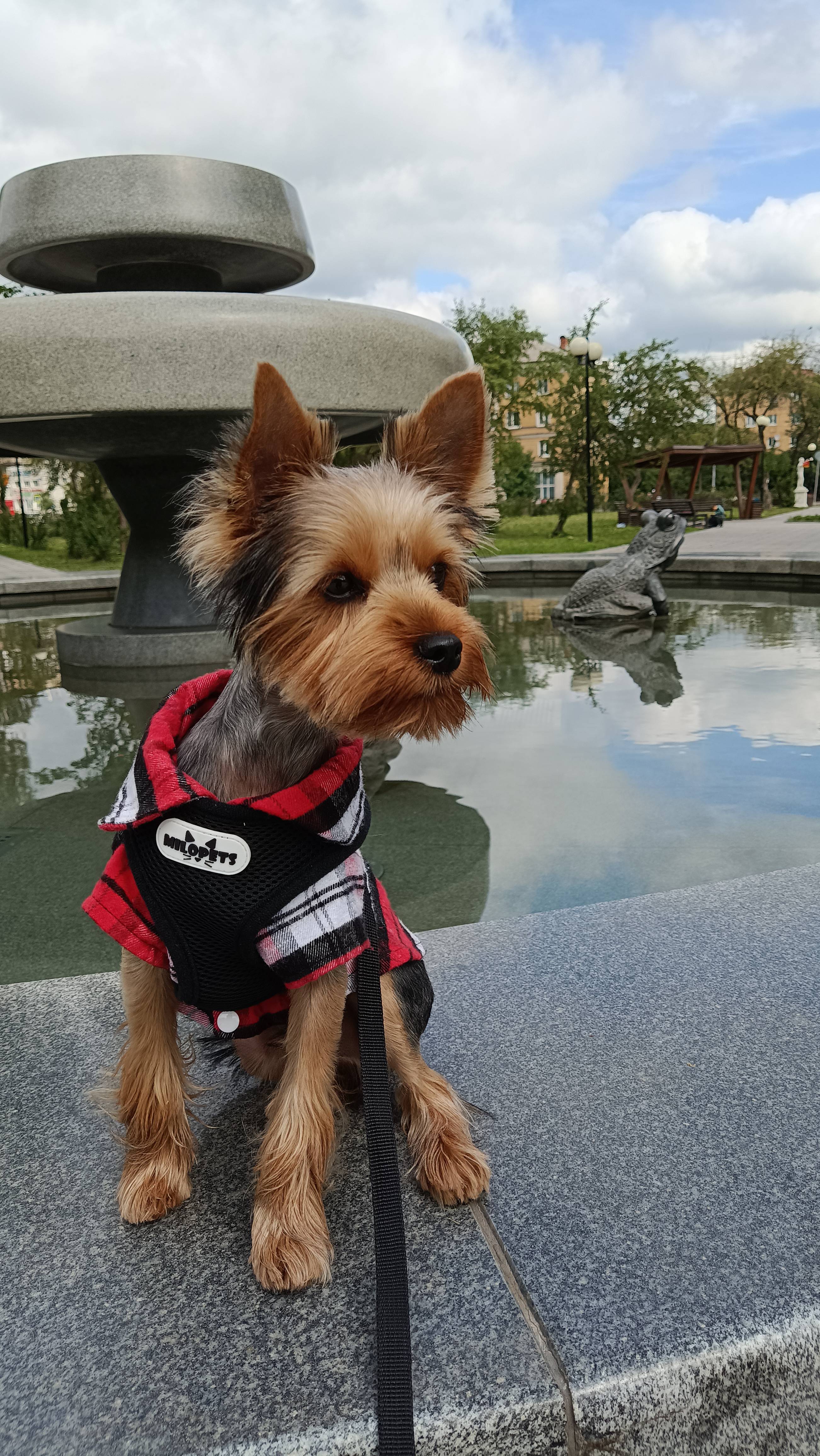 Торик. Детский альбом.