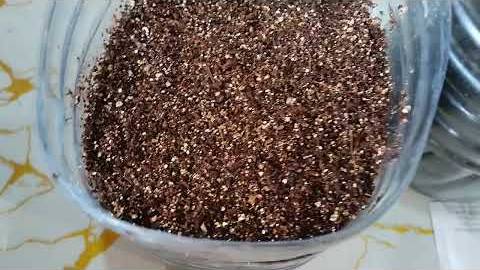 Сею лук. Моя рассада на 03.03.2025г смотреть онлайн