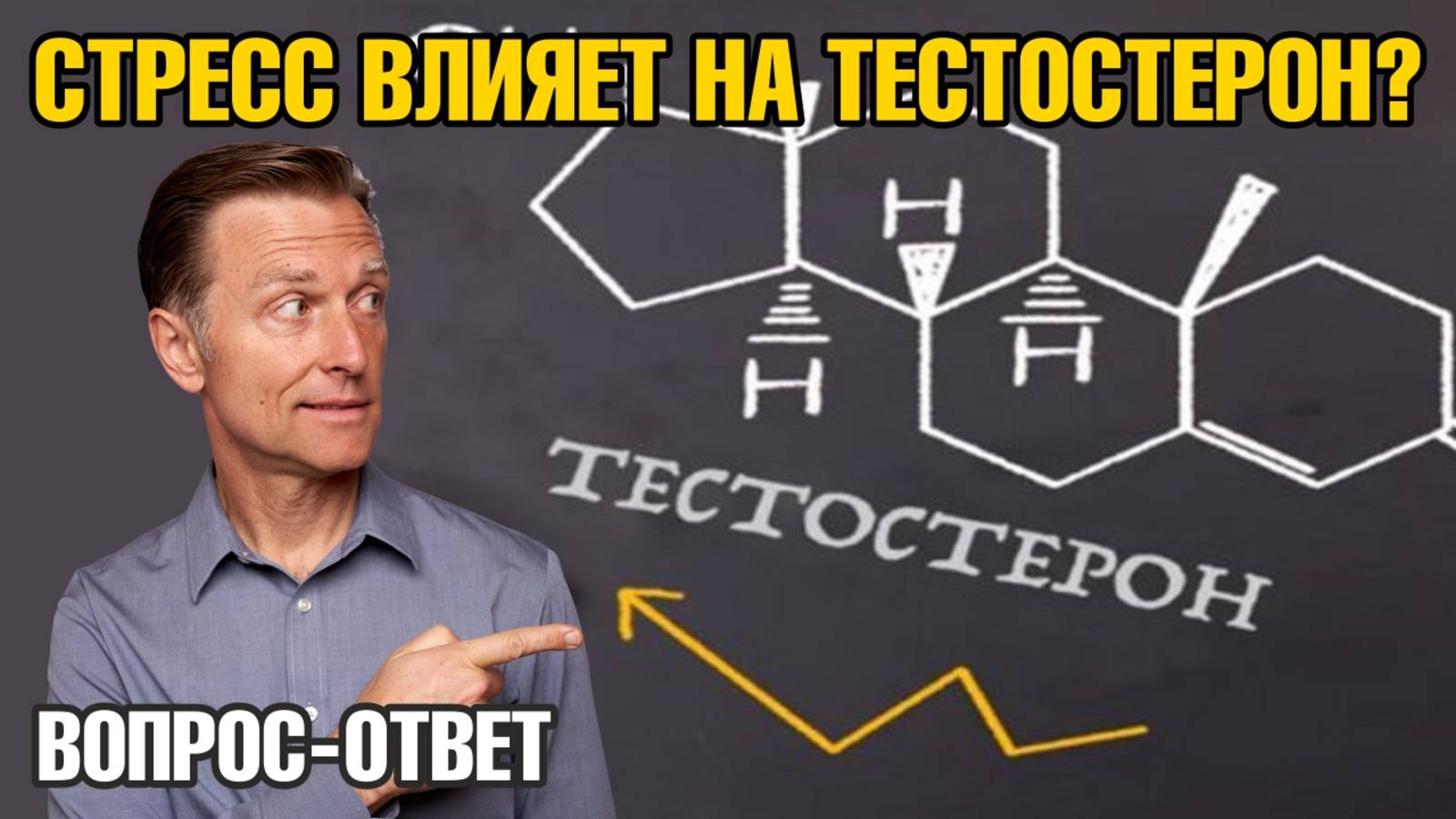 Почему стресс блокирует выработку тестостерона?👀 смотреть онлайн