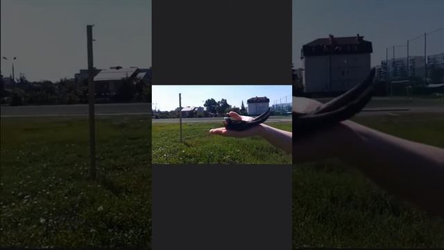 Аркаша улетел в стаи стрижей.(2)Миру Мир!!!02.08.2023 смотреть онлайн