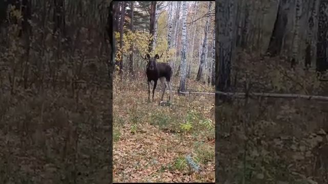 чердак рыбака