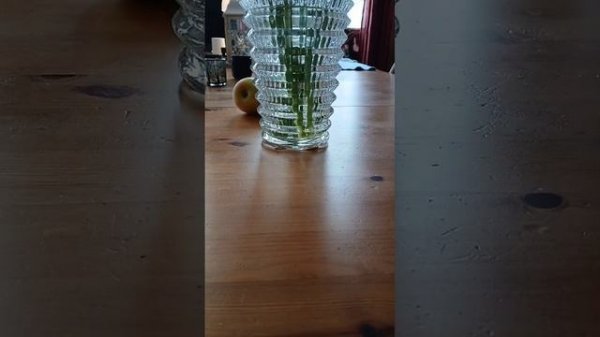 Нашим семьям и друзьям / литература FA