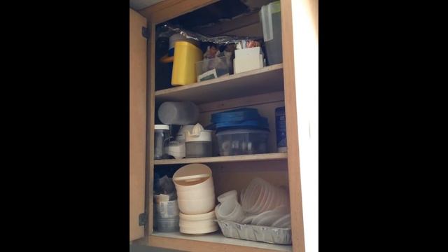 Ant Killer - TERRO and AMDRO смотреть онлайн