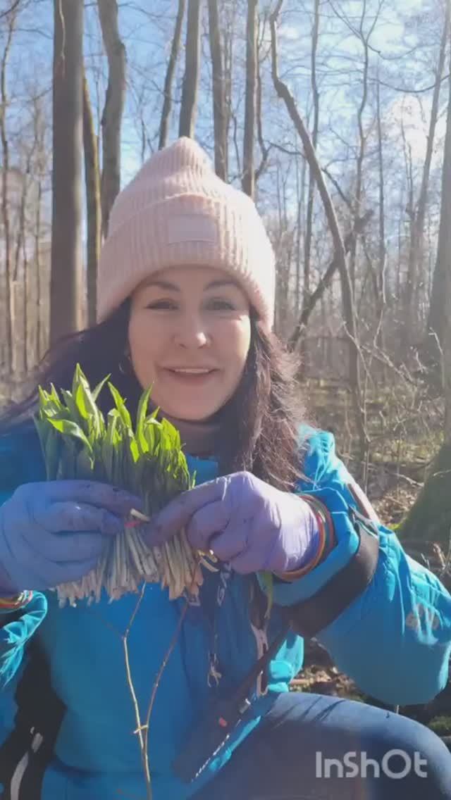 ПЕРВАЯ ЧЕРЕМША этого года. ГРИБНИКИ В ВОСТОРГЕ!!! смотреть онлайн