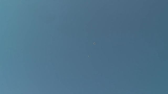 12.09.2017г.Голуби в Геническе. смотреть онлайн