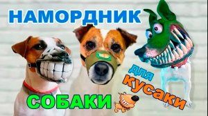 Как сшить намордник для собаки своими руками