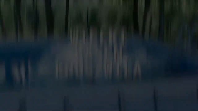 Kruszwil Bedoes - Delfin смотреть онлайн