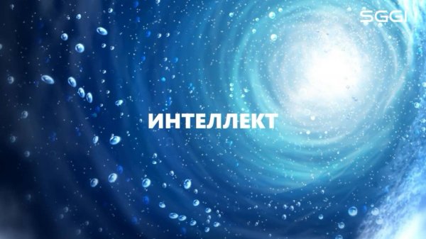 Интеллект