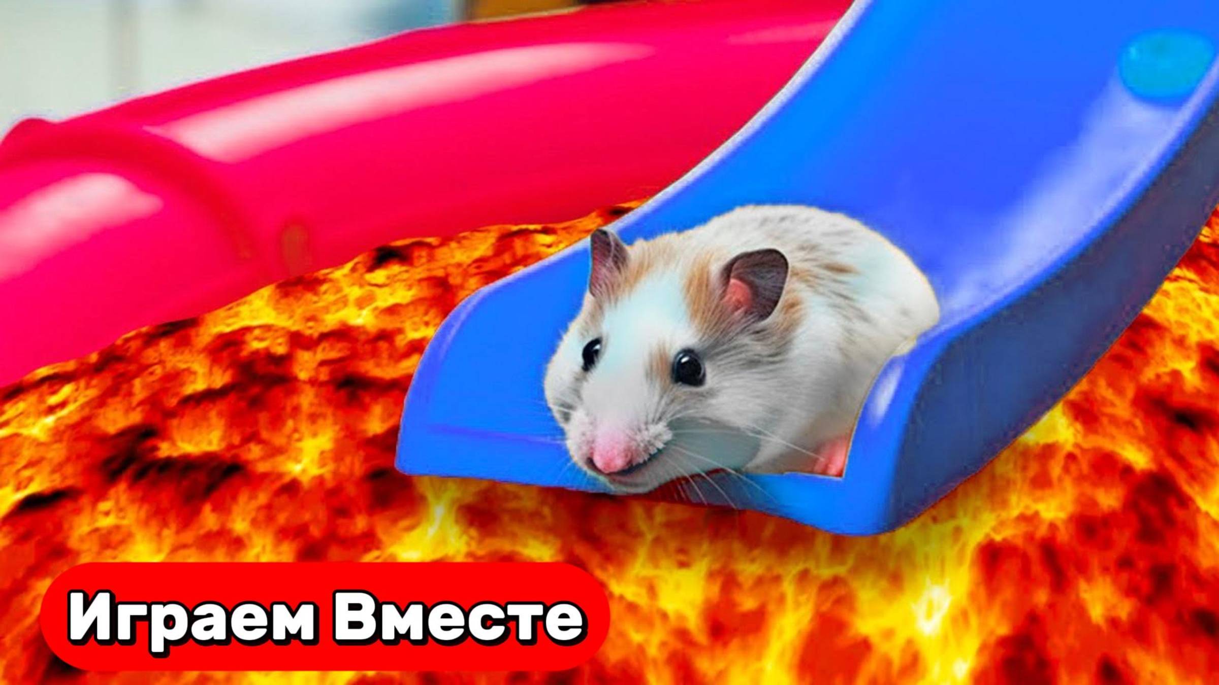 Умный Хомяк попал в ЛАБИРИНТ с ЛАВОЙ и ЛОВУШКАМИ ! Выбираемся вместе ! Видео для детей смотреть онлайн