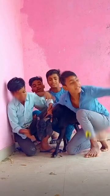 #viral #funnymemes #shortvideo #comedyshorts #youtubeshorts #youtubevideo смотреть онлайн