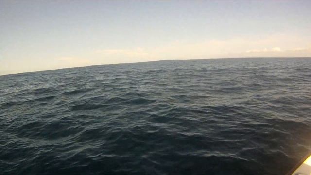 Gopro Marlin смотреть онлайн