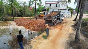 Строительство, засыпка , новый участок