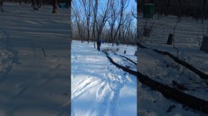 Быстрая китайская бензопила canfly 750