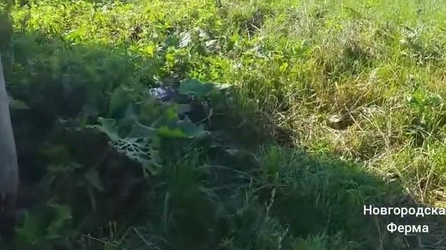 Технологии и наука