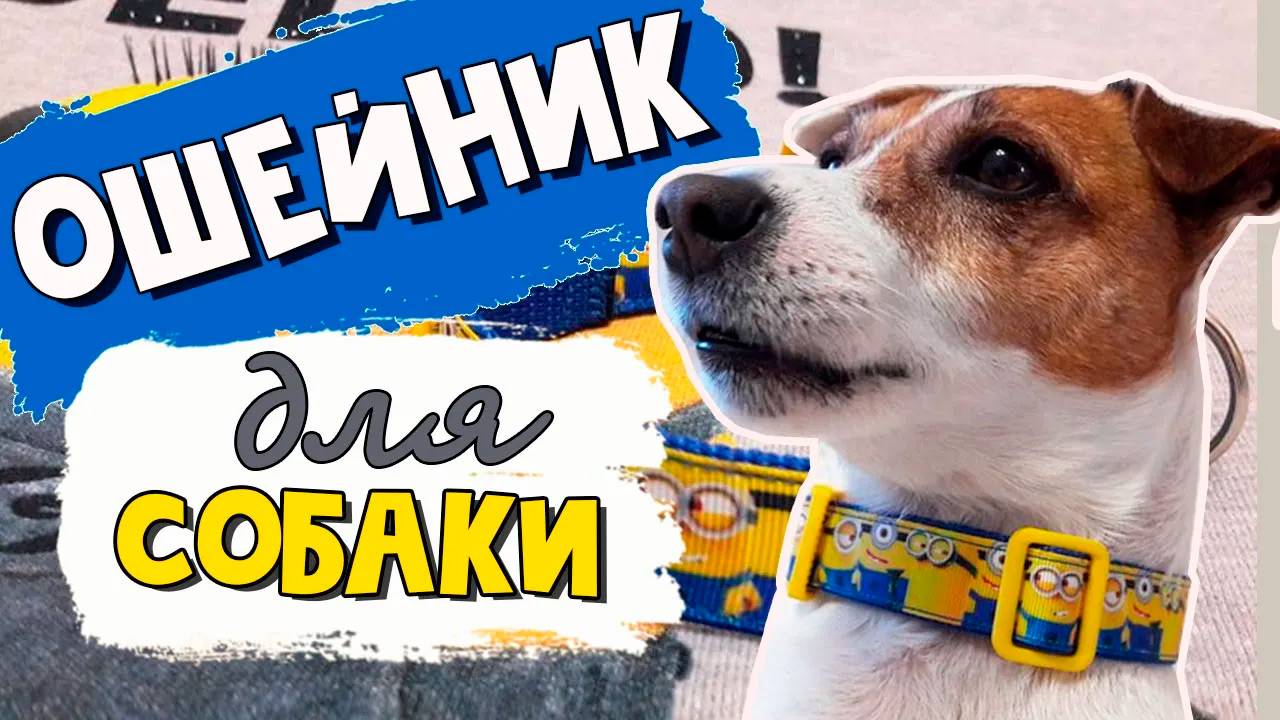 Как сшить ошейник для собаки своими руками смотреть онлайн