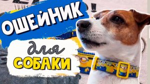 Как сшить ошейник для собаки своими руками