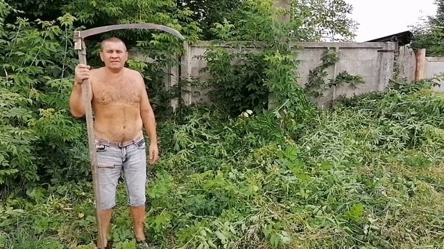 Сделали то, что проигнорировали коммунальщики!