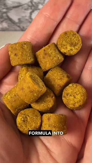 Phish's Probiotic Success Story: Good Trouble Probiotic for Dogs смотреть онлайн