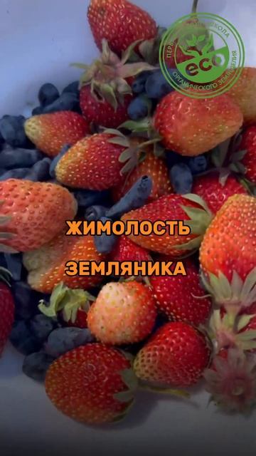 Заморозки. #сад #огород #дача #земледелие #грядки #посадка #сорняки #удобрения #жимолость