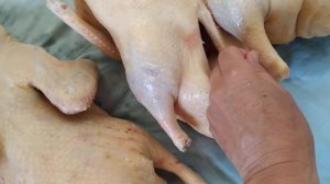 бройлерные утки СК-6 тушки, вес, в 50 дней