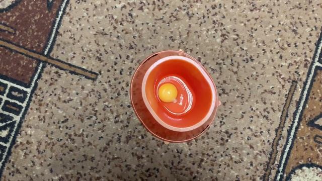 КАК КУРИЦА С ЗАБИТЫМ ЗОБОМ_ СЕТКА ДЛЯ ПТИЧНИКА И ЗАЩИТЫ ОТ ХИЩНЫХ ПТИЦ ПРОВЕРЕННАЯ МНОЮ ГОДАМИ👍👍👍 смотреть онлайн