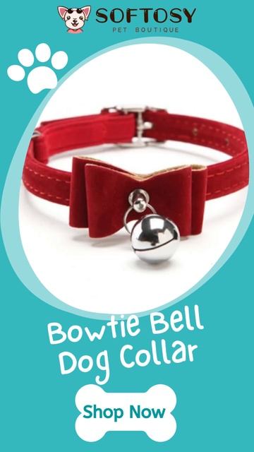Hot-Selling Dog/Cat Collars смотреть онлайн