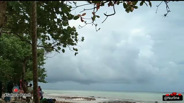 pantai sakura desa kuraa kecamatan siotapina kabupaten Buton📸 смотреть онлайн