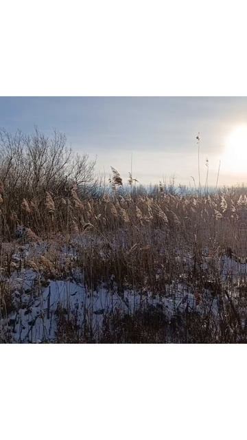 Открыл сезон по карасю