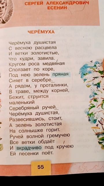 С. Есенин Черёмуха стихи 3 класс чтение #слушать #стихи #литература смотреть онлайн