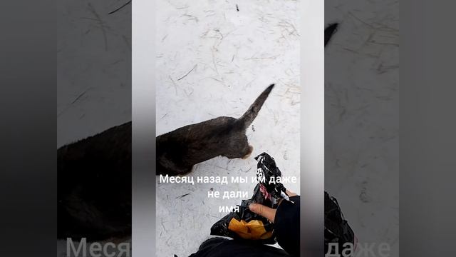 помять Буне и Дуне помним любим скорбим ❤️❤️❤️😭😭😭 смотреть онлайн