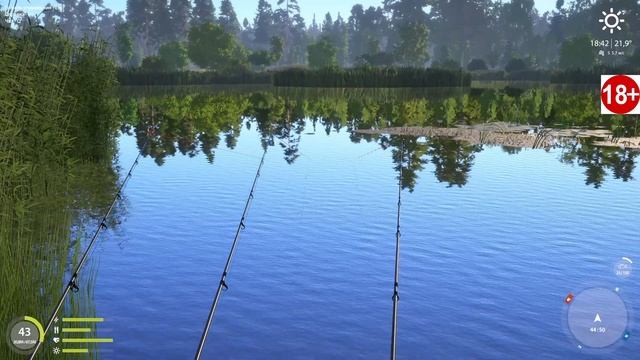 Russian Fishing 4, #РР4...Оз.Медвежье - Усач Обыкновенный. Русская рыбалка 4 #рр4 смотреть онлайн