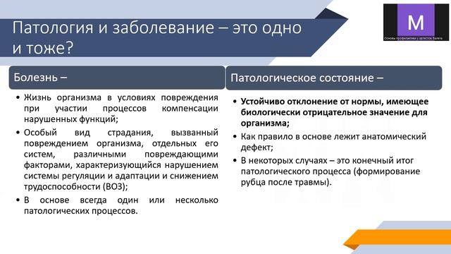 Основы патологии смотреть онлайн