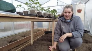 ТОМАТЫ ЛЮБЯТ ТЕПЛО - ИДЕАЛЬНАЯ ТЕМПЕРАТУРА ПОЧВЫ ДЛЯ ПОСАДКИ ТОМАТОВ В ТЕПЛИЦЕ