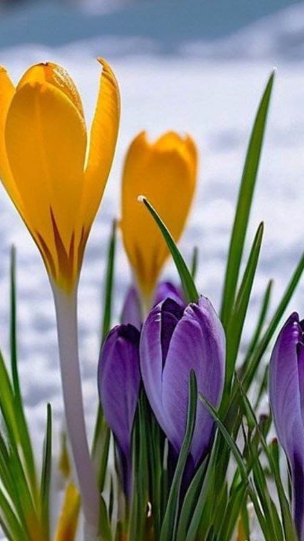 " Христианская" жизнь без Личности Духа Святого😳