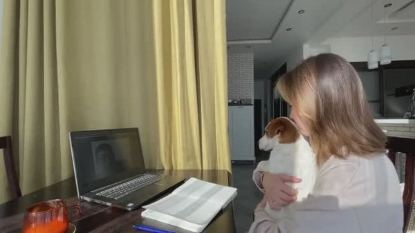 Online english lesson example