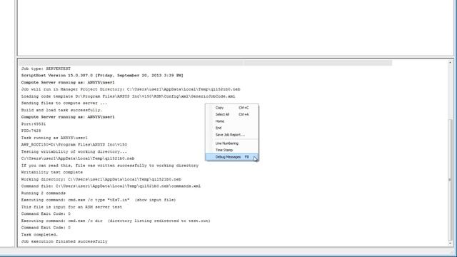 ANSYS Remote Solve Manager (RSM): Running Test Jobs смотреть онлайн