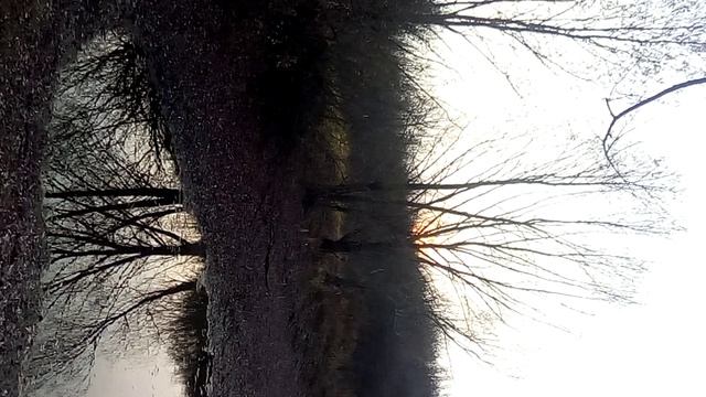VID_20191022_163359 смотреть онлайн