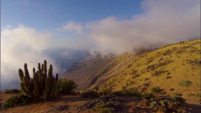 BBC: Планета людей 2 серия «Пустыни: Жизнь в пекле» (документальный сериал, 2011)