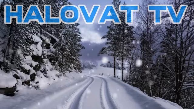 📹 Abdulloh Domla Qiyomat Haqida Абдуллох домла #абдуллахдомла #abdullohdomla #abdullohdomla2024 #4k