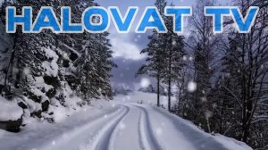 📹 Abdulloh domla Qiyomat Haqida Абдуллох домла #абдуллахдомла #abdullohdomla #abdullohdomla2024 #4k