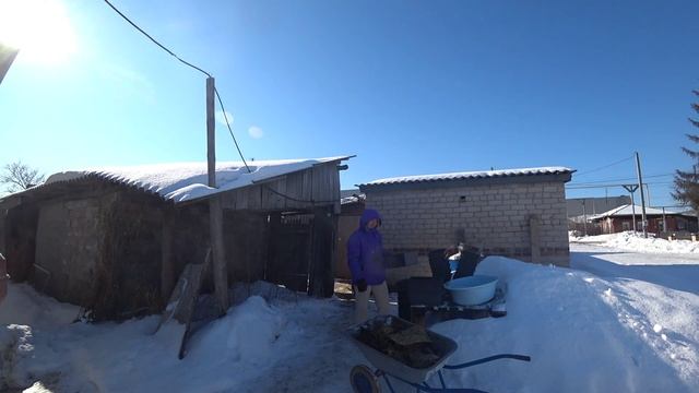 У сына юбилей. Работа на ферме. 2