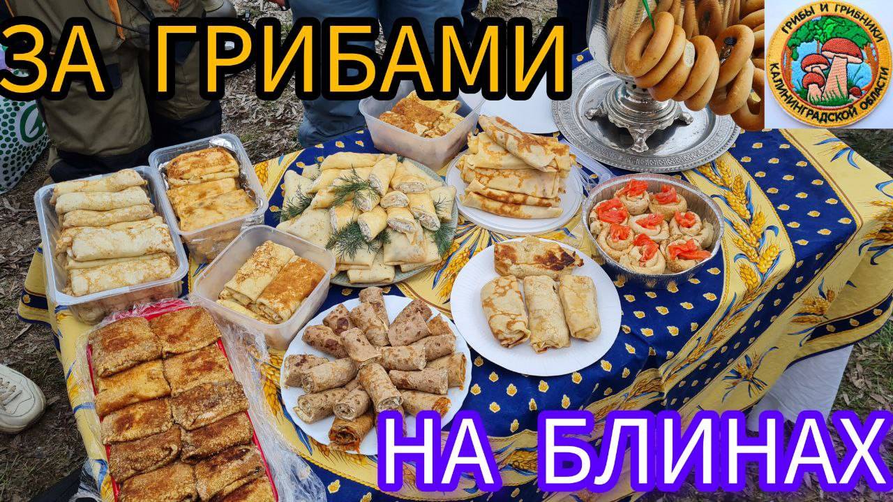 КНИГА ГРИБОВ, поход за грибами НА БЛИНАХ. смотреть онлайн