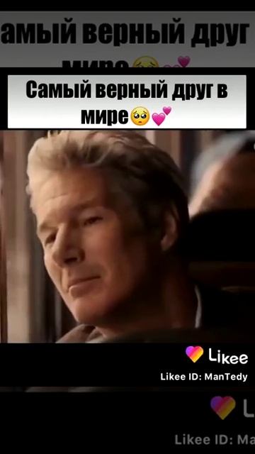 Хатико самый верный друг смотреть онлайн