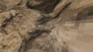 Догонялки в горилла таг!