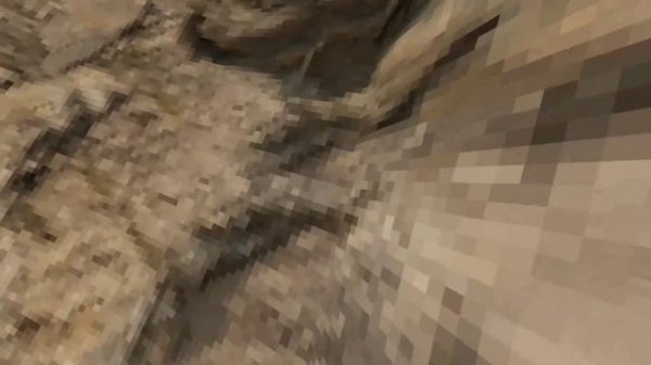 Догонялки в горилла таг!