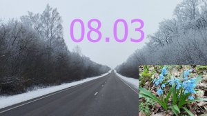 За прекрасных за дам, к 8 марта (песенный тост)